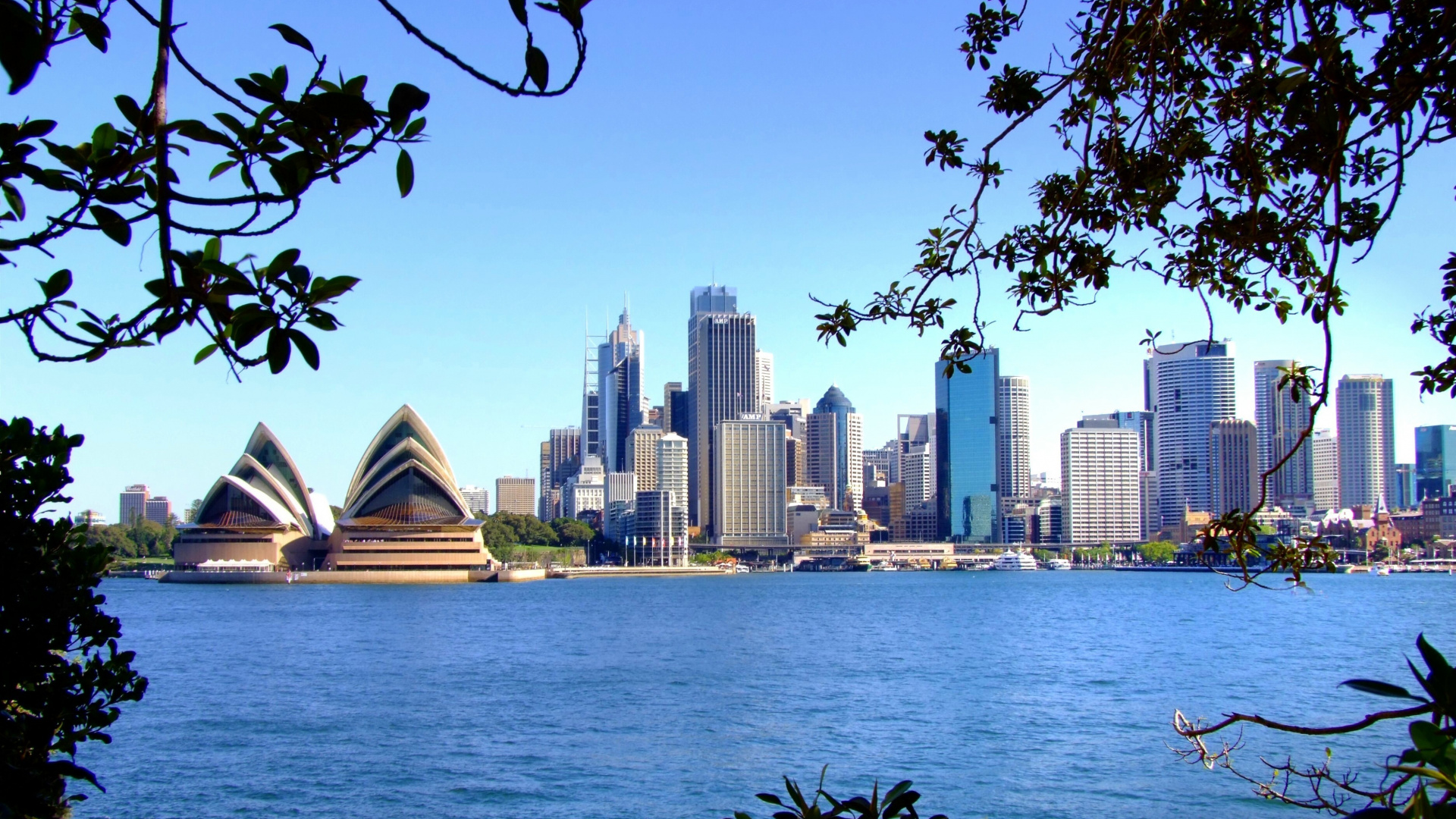 Обои сиднейский оперный театр, город, линия горизонта, дневное время, дерево в разрешении 1920x1080