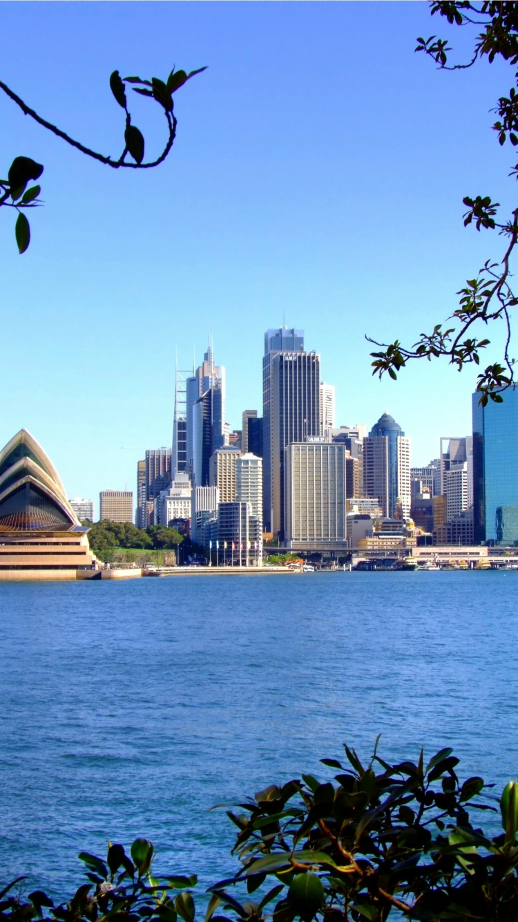 Обои сиднейский оперный театр, город, линия горизонта, дневное время, дерево в разрешении 750x1334