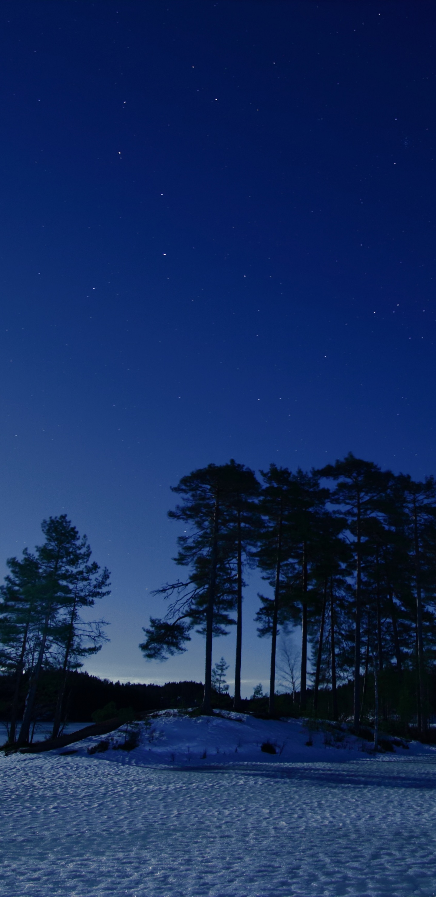 Обои синий, природа, ночь, зима, снег в разрешении 1440x2960
