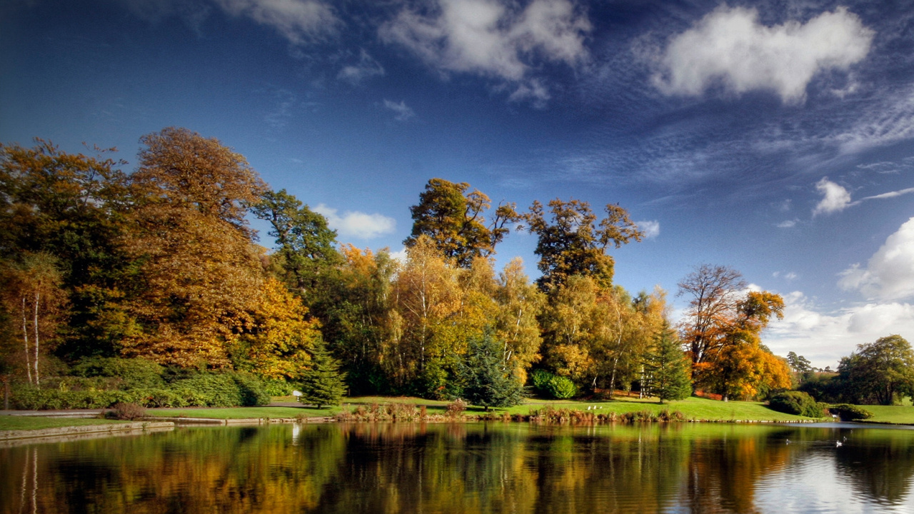 Обои отражение, природа, дерево, вода, облако в разрешении 1280x720