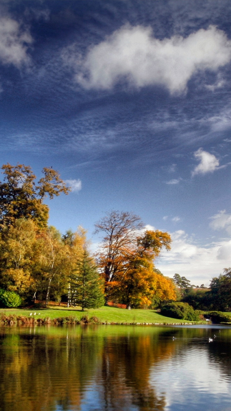 Обои отражение, природа, дерево, вода, облако в разрешении 750x1334