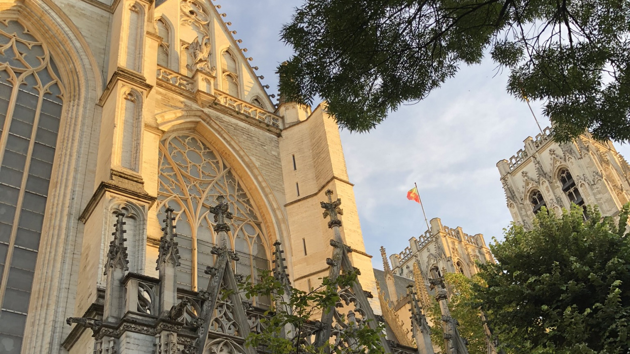 Обои ориентир, биология, наука, дерево, фасад в разрешении 1280x720