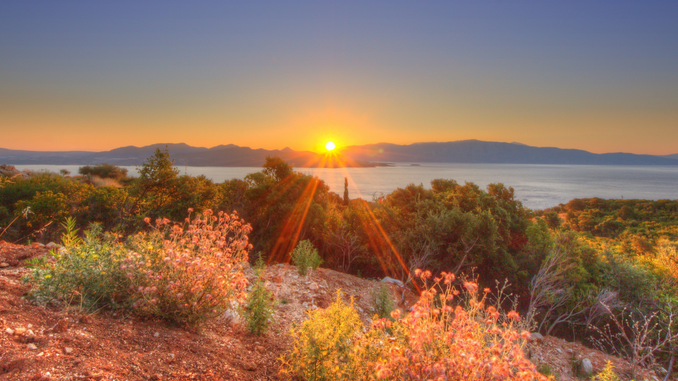 Обои восход солнца, растительность, утро, закат, солнечный свет в разрешении 1366x768
