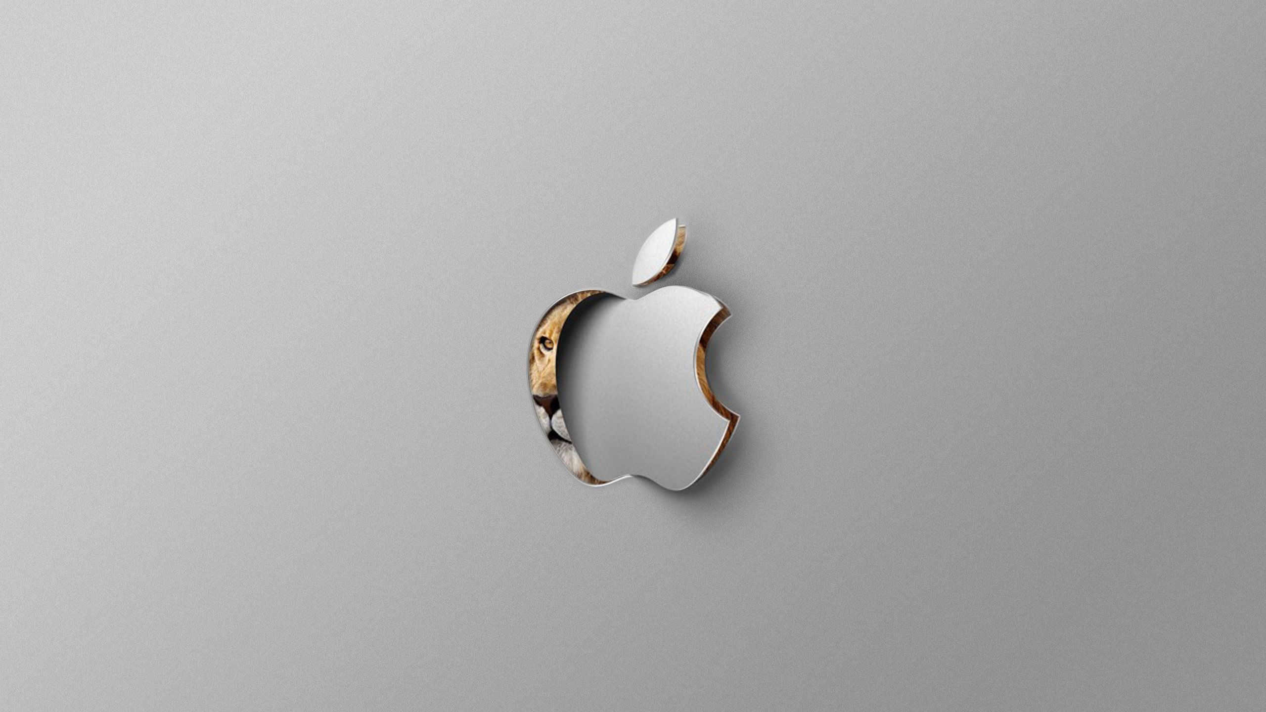 Обои apple, Операционная система, ювелирные изделия, OS X Mountain Lion, операционные системы в разрешении 2560x1440
