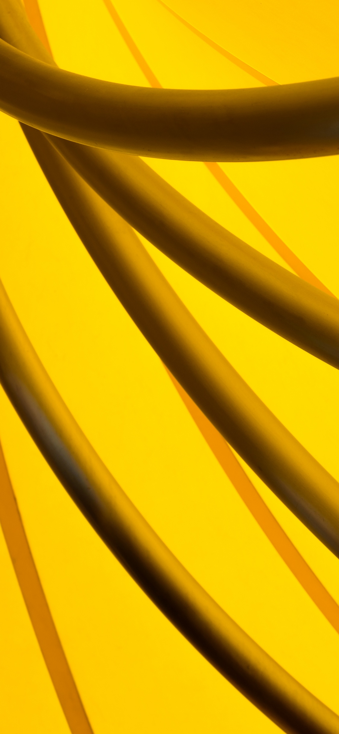 Обои желтый, линия, Апельсин, Янтарь, круг в разрешении 1125x2436