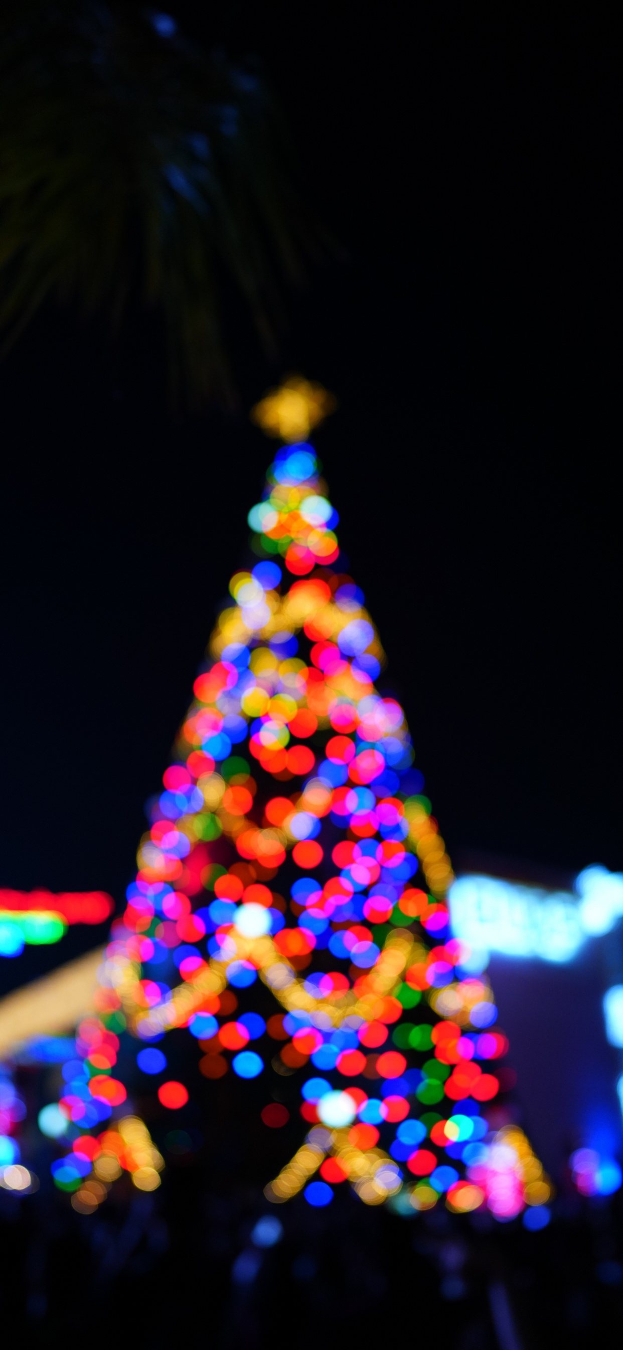 Обои Рождественский день, Комплекс Культурных Университарио, ночь, событие, дизайн интерьера в разрешении 1242x2688