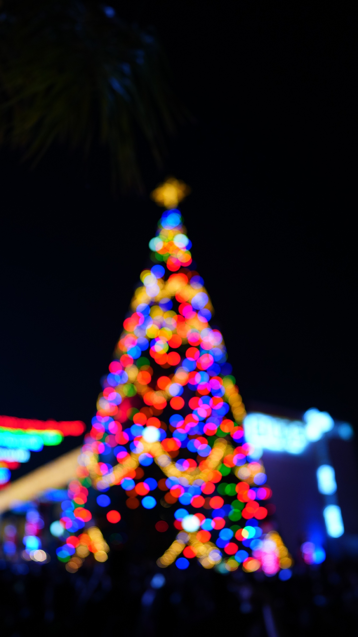 Обои Рождественский день, Комплекс Культурных Университарио, ночь, событие, дизайн интерьера в разрешении 1440x2560