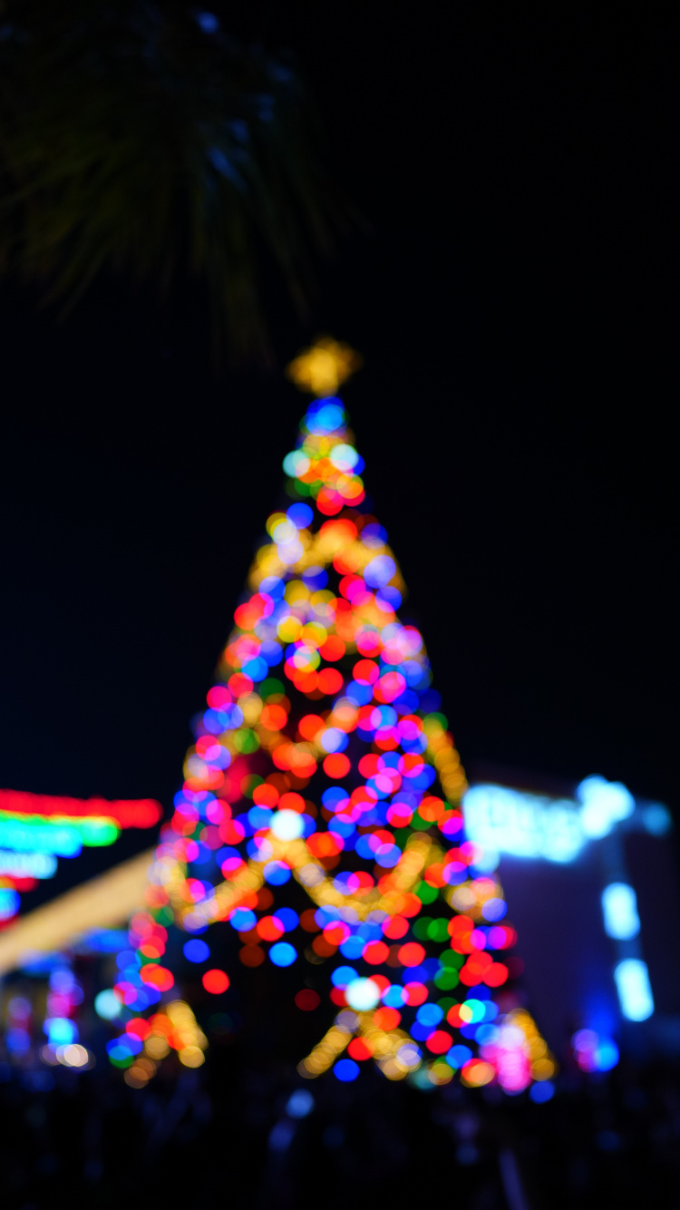 Обои Рождественский день, Комплекс Культурных Университарио, ночь, событие, дизайн интерьера в разрешении 750x1334