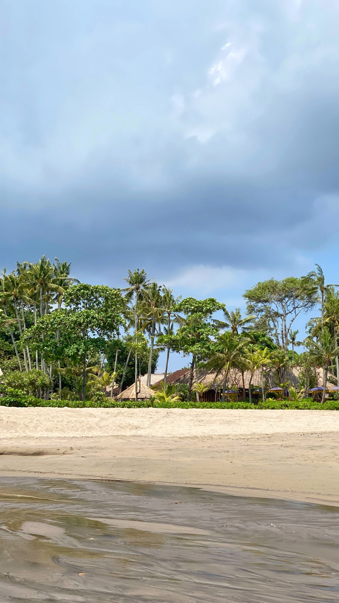 Обои пляж, пальмовые рощи, вода, туризм, растительность в разрешении 1080x1920