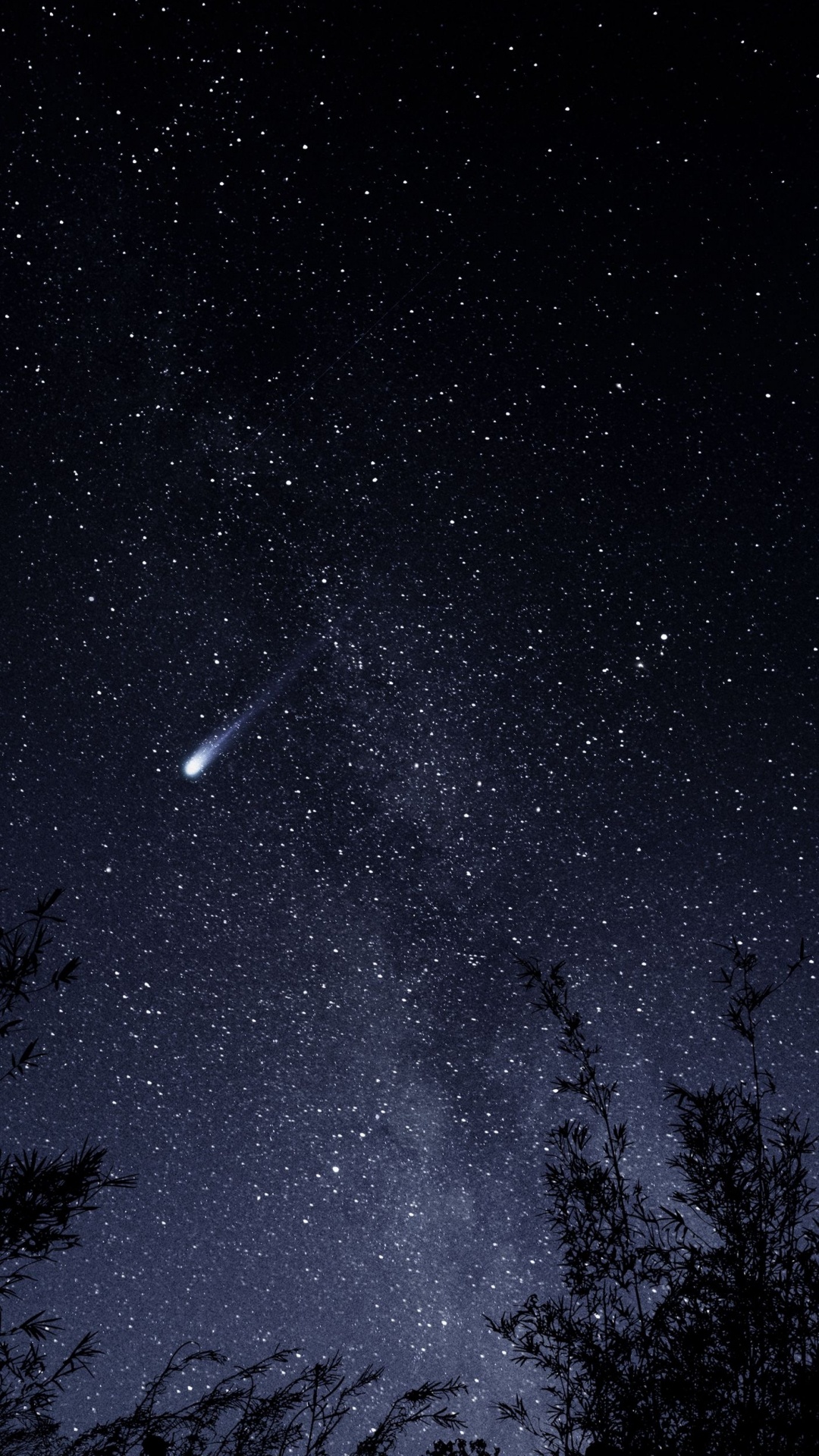 Обои звезда, икона, доступный, бумага, ночь в разрешении 1080x1920