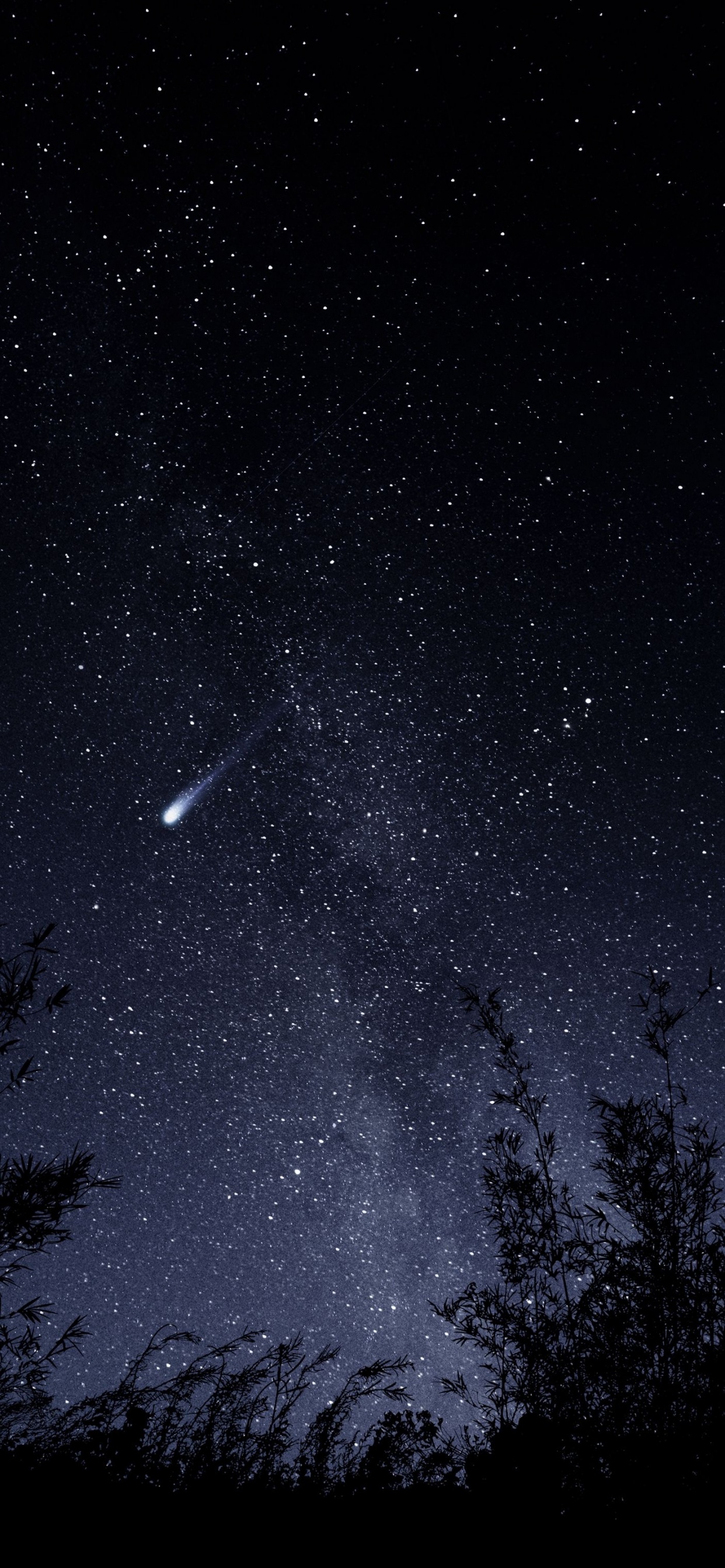 Обои звезда, икона, доступный, бумага, ночь в разрешении 1242x2688