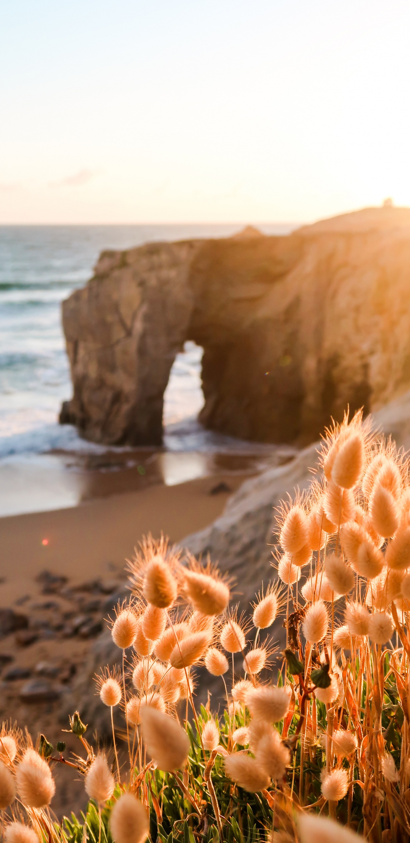 Обои природа, природный ландшафт, побережье, море, берег в разрешении 1440x2960