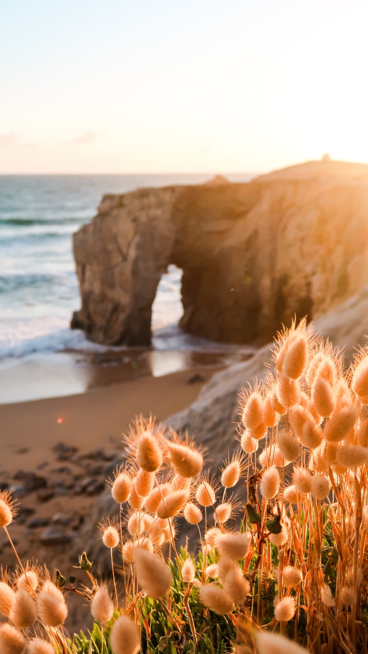 Обои природа, природный ландшафт, побережье, море, берег в разрешении 720x1280