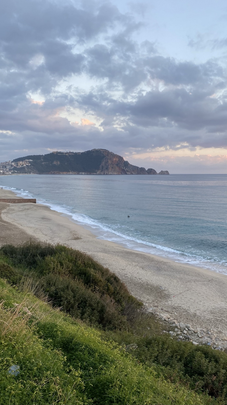 Обои Клеопатра Бич, вода, облако, растение, пляж в разрешении 750x1334