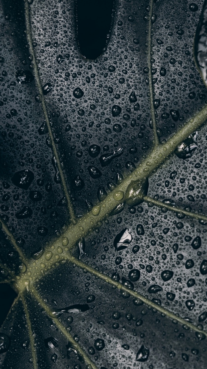 Обои вода, soundcloud, Веб-дизайн, дизайн, web-страница в разрешении 720x1280