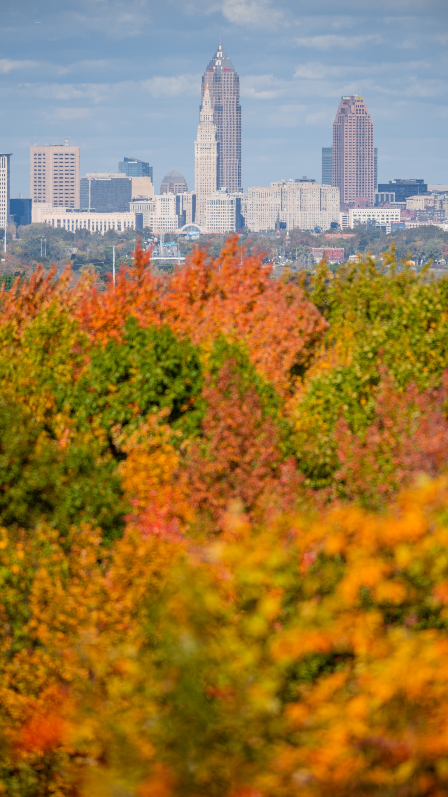 Обои Парк Теодора Рузвельта, здание, небоскреб, облако, дневное время в разрешении 1440x2560