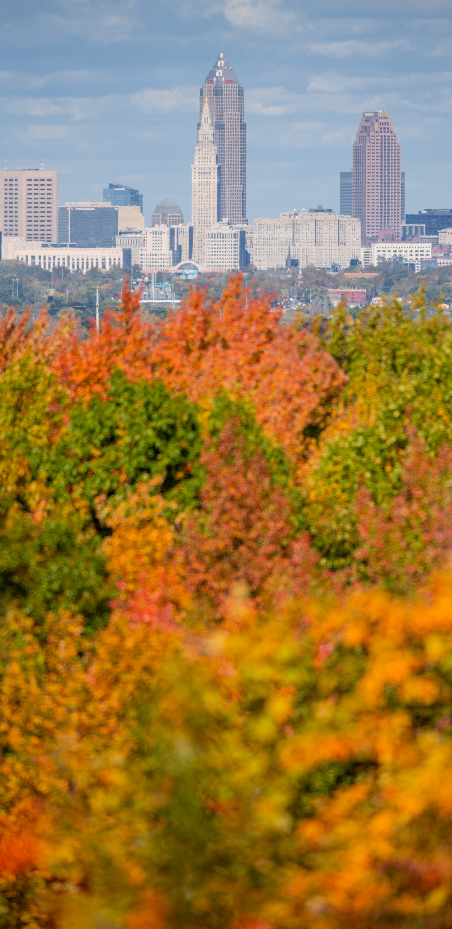 Обои Парк Теодора Рузвельта, здание, небоскреб, облако, дневное время в разрешении 1440x2960