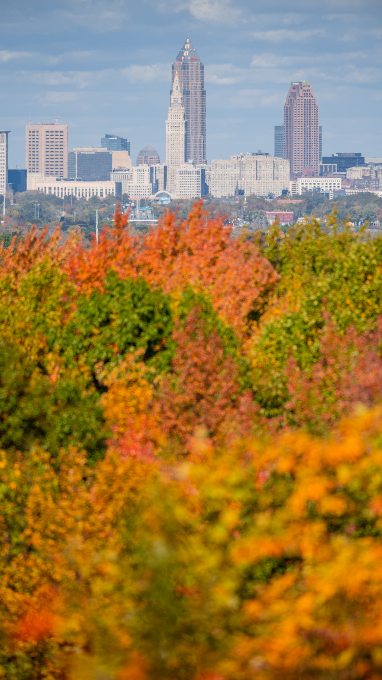 Обои Парк Теодора Рузвельта, здание, небоскреб, облако, дневное время в разрешении 750x1334