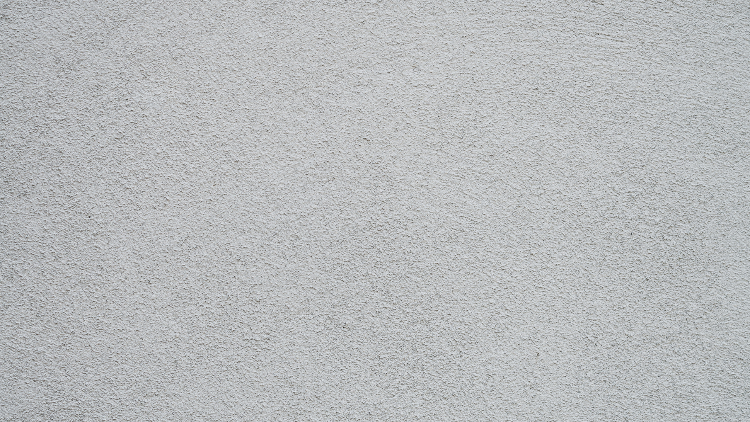 Обои знак остановки, B-ролл, линия, дорожное покрытие, школьный автобус в разрешении 2560x1440