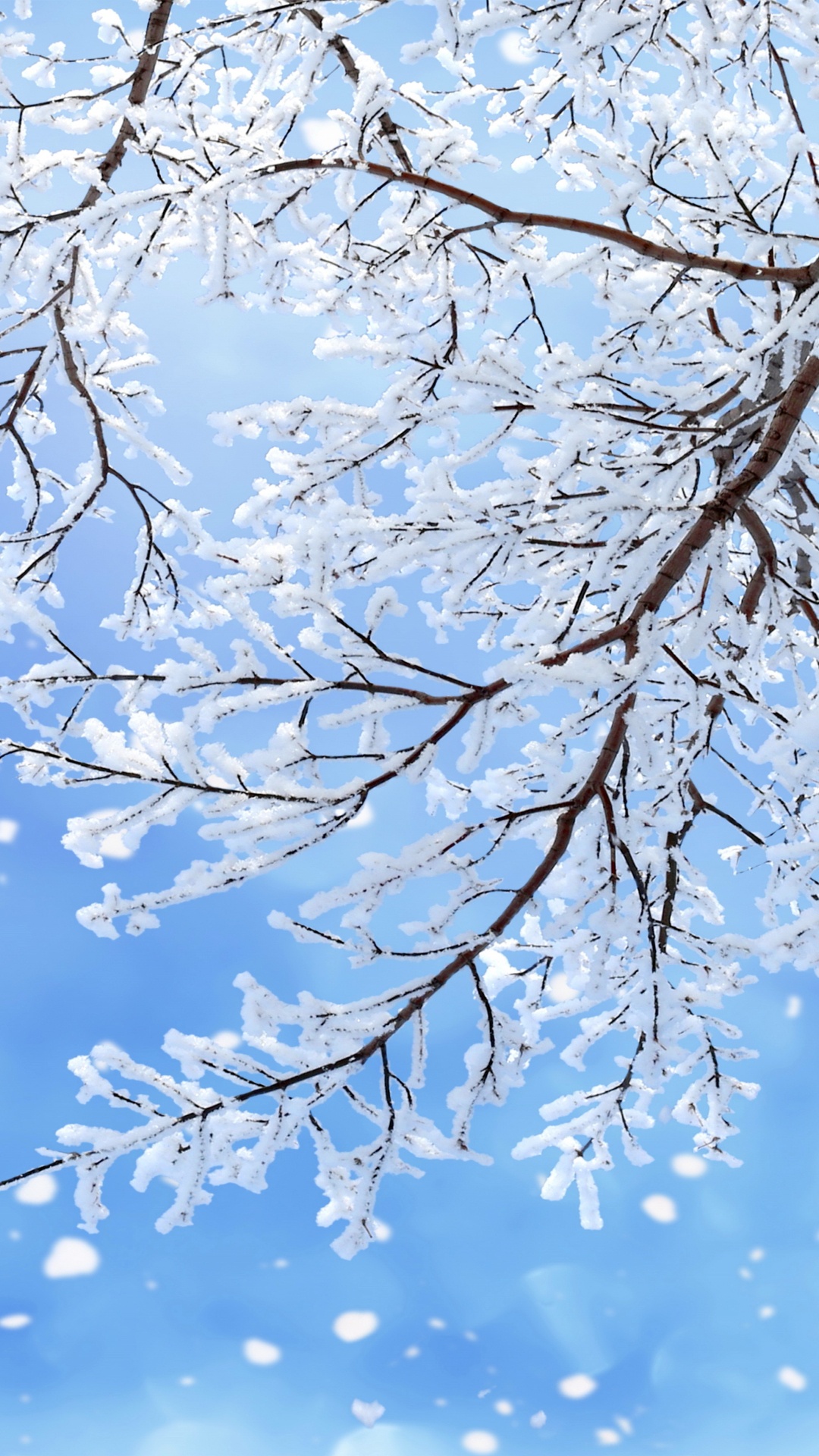 Обои снег, зима, ветвь, синий, дерево в разрешении 1080x1920