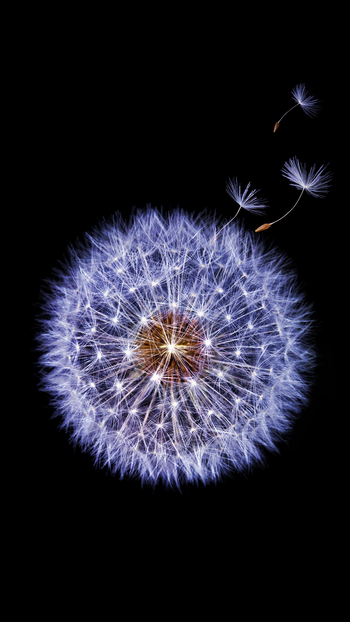 Обои Samsung Galaxy, Samsung, Samsung Galaxy S9, google play, андроид в разрешении 1440x2560