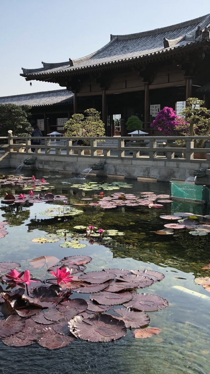 Обои китайская архитектура, туризм, вода, достопримечательность, водоем в разрешении 720x1280