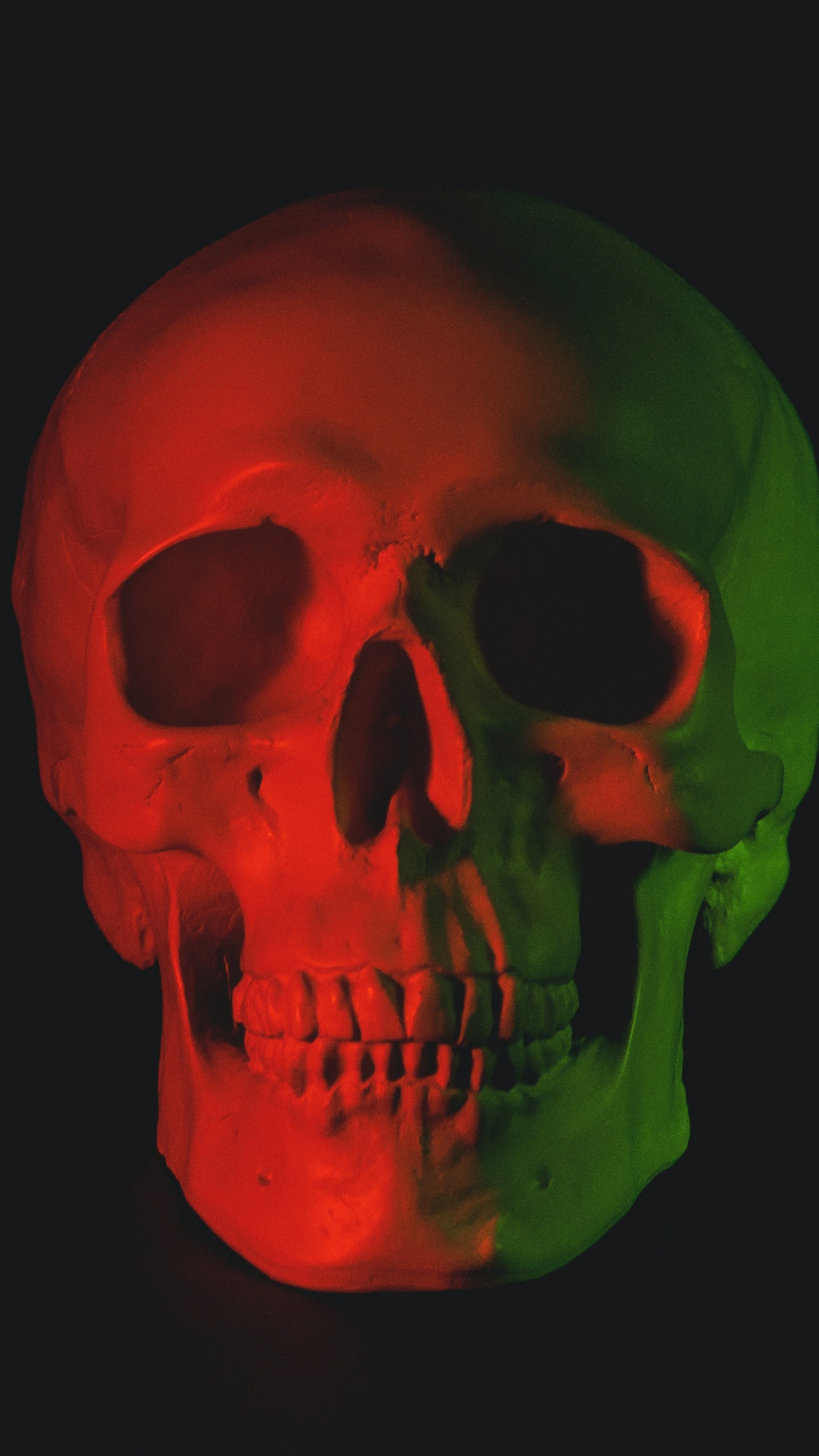 Обои скелет, череп, человеческий череп, человек, Череп арт в разрешении 1440x2560