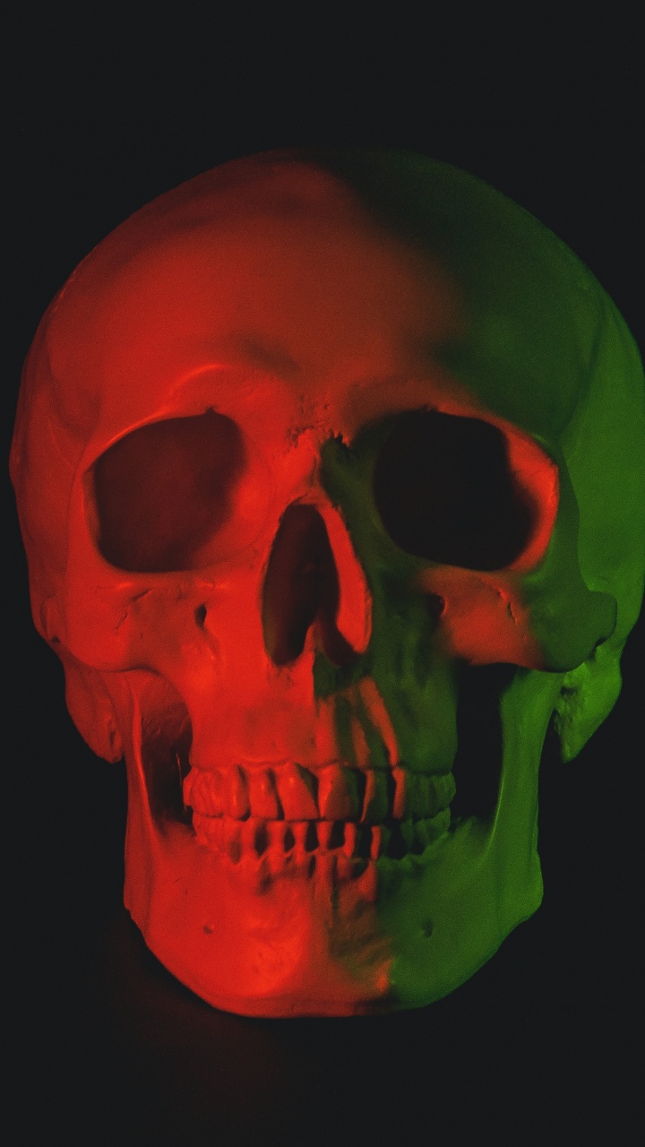 Обои скелет, череп, человеческий череп, человек, Череп арт в разрешении 720x1280