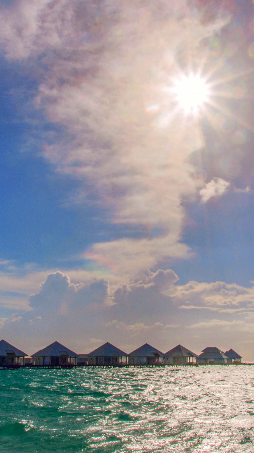 Обои море, Мальдивы, природа, тропическая зона, Пальма в разрешении 1080x1920