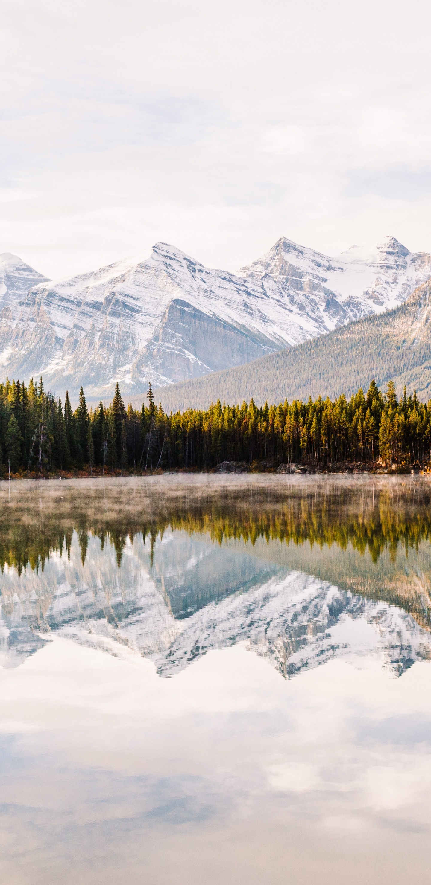 Обои вода, облако, растение, гора, гидроресурсы в разрешении 1440x2960