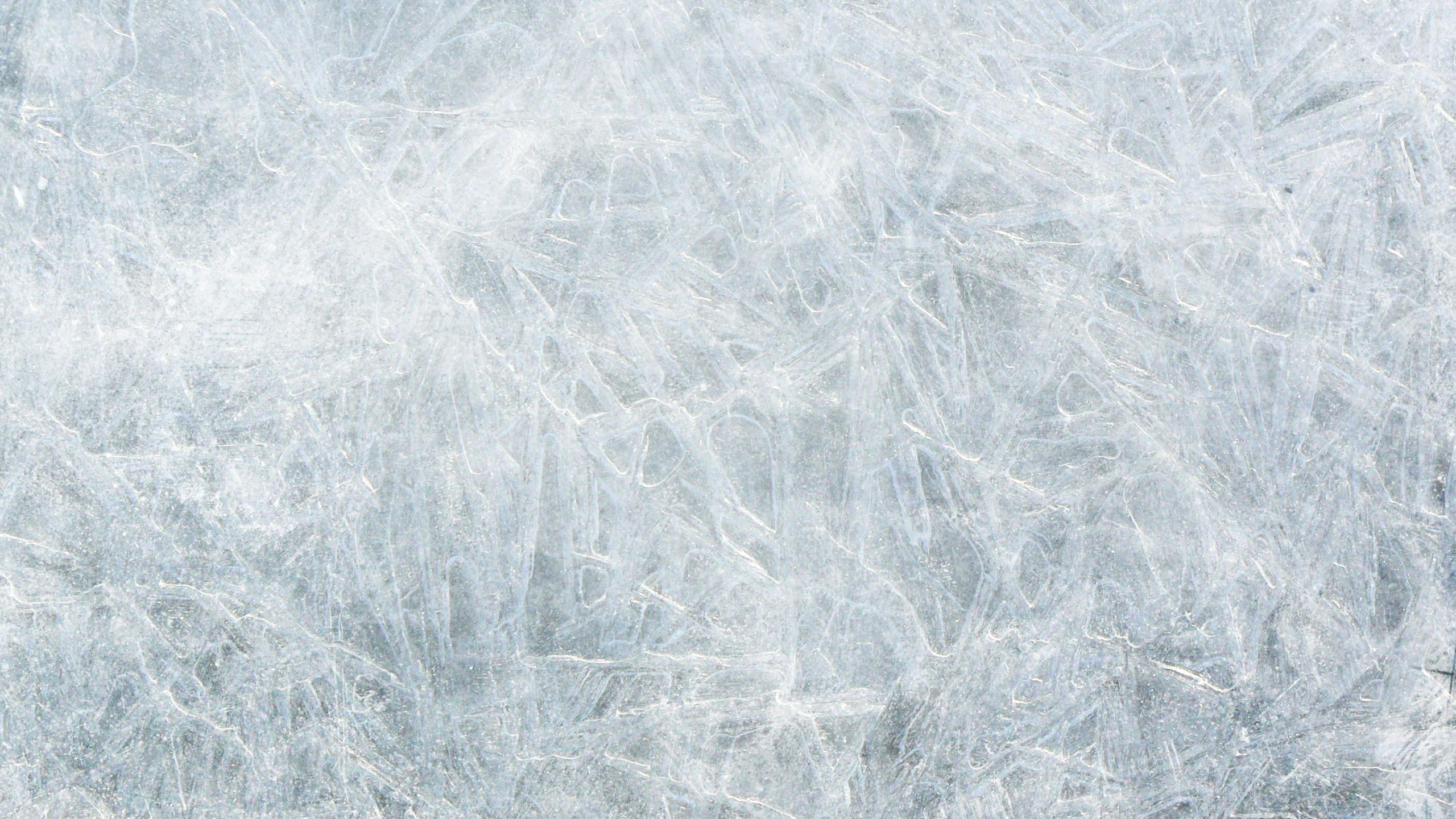 Обои лед, замораживание, трава, снег, зима в разрешении 2560x1440