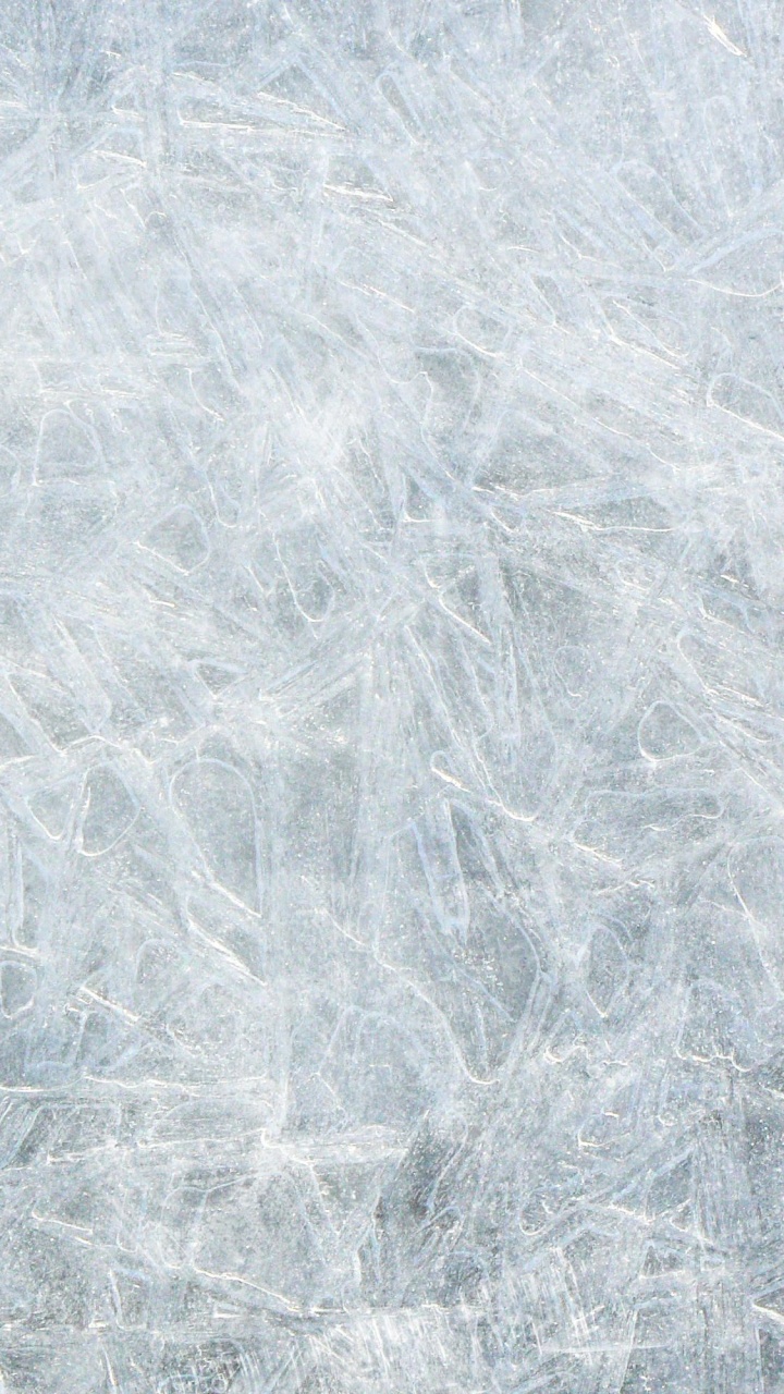 Обои лед, замораживание, трава, снег, зима в разрешении 720x1280