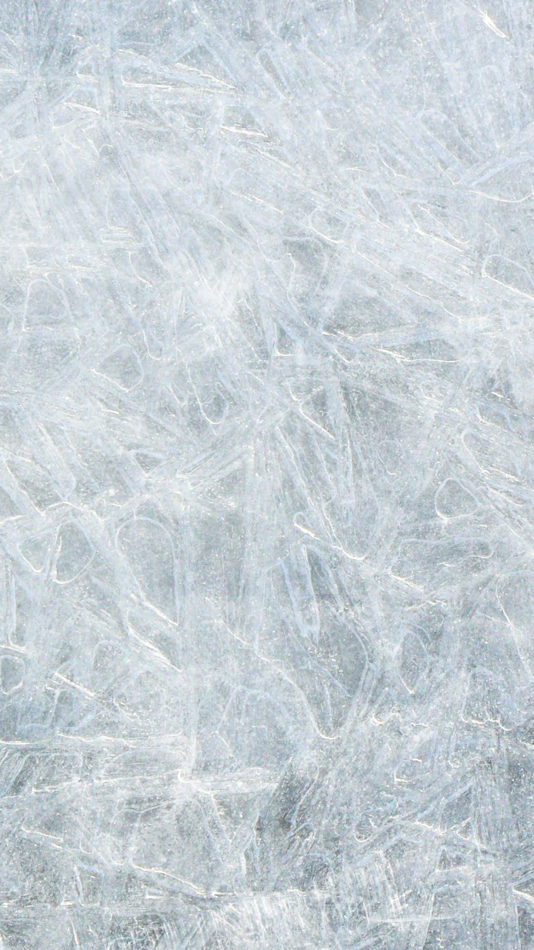 Обои лед, замораживание, трава, снег, зима в разрешении 750x1334