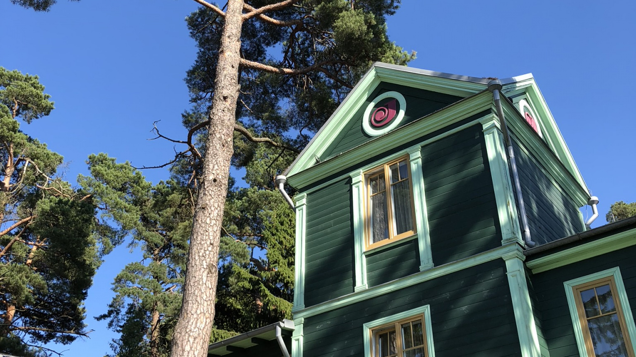 Обои дерево, лист, свойство, хвойное дерево, створки окна в разрешении 1280x720