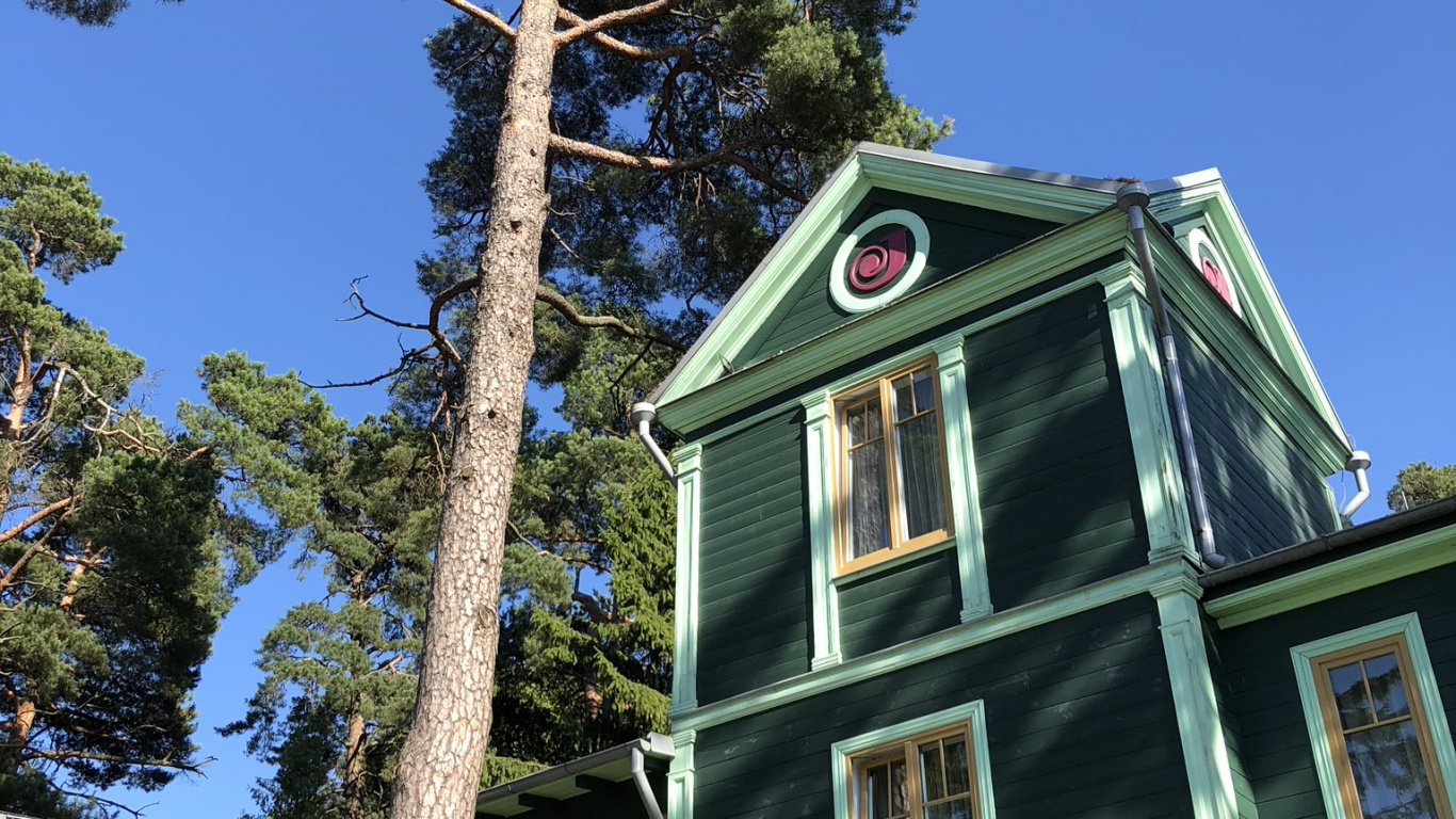 Обои дерево, лист, свойство, хвойное дерево, створки окна в разрешении 1366x768