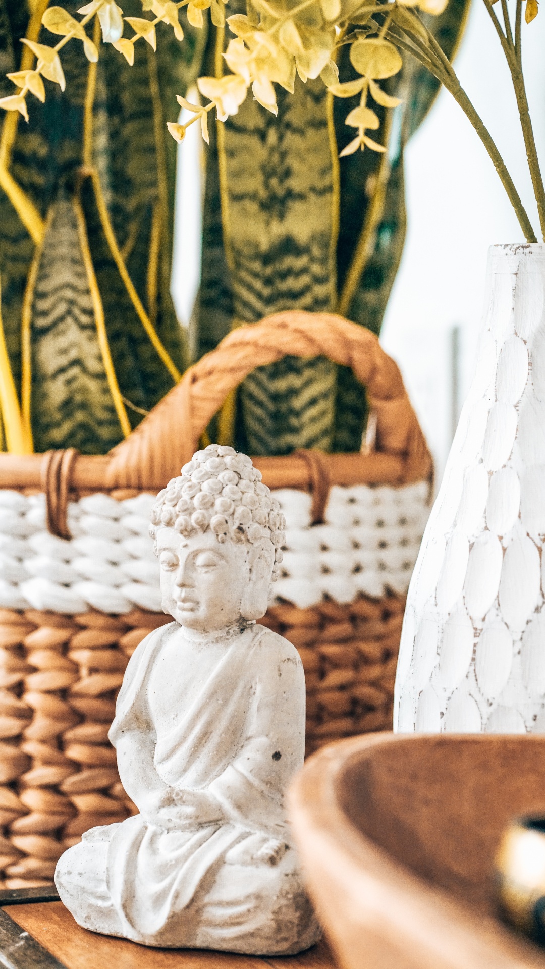 Обои комната, ткань, дизайн интерьера, растение, арт в разрешении 1080x1920