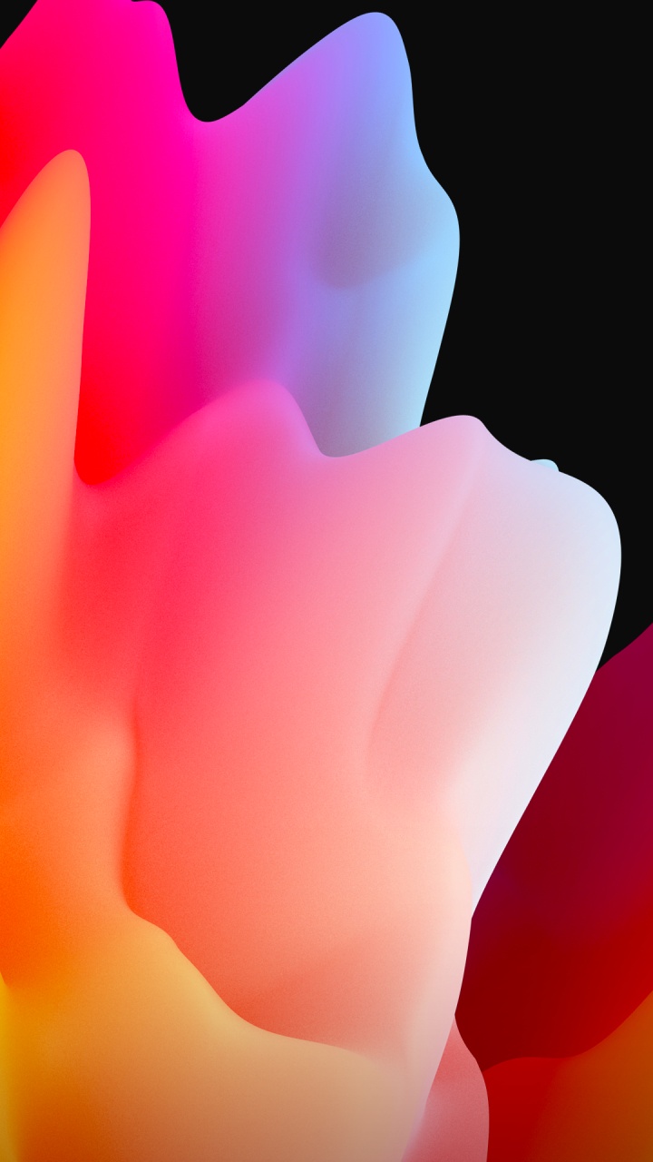 Обои лепесток, TCL, цветок, растение, жест в разрешении 720x1280