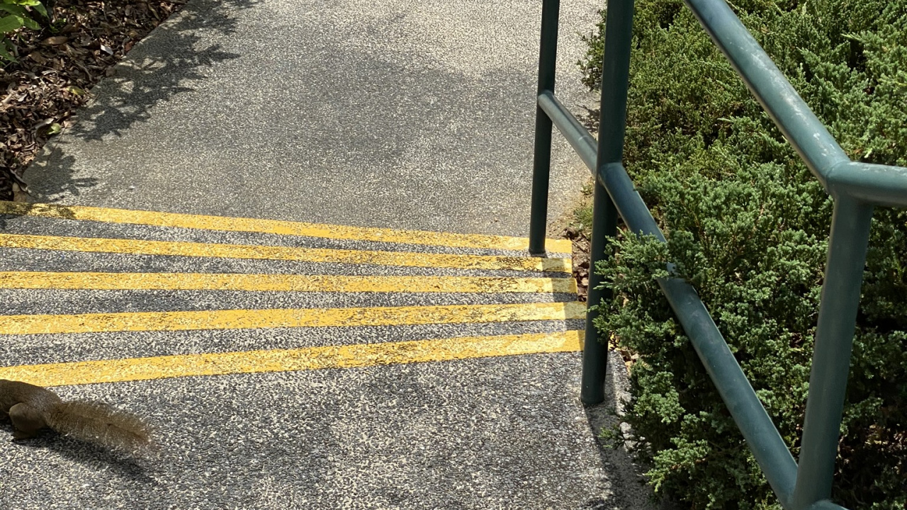 Обои путь, дорожное покрытие, тротуар, асфальт, математика в разрешении 1280x720