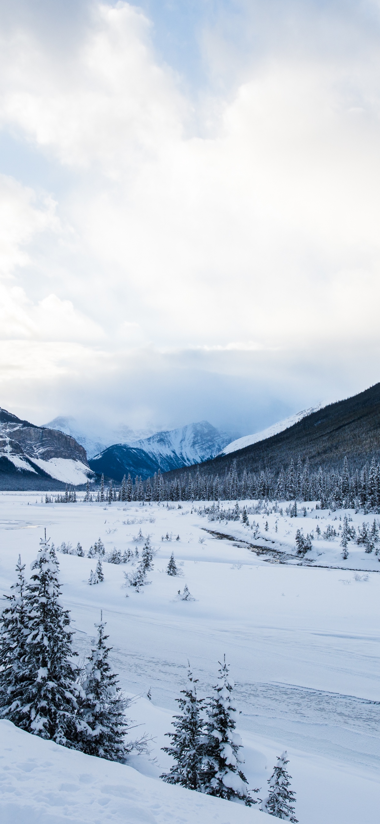 Обои гора, снег, природа, лыжи, живопись в разрешении 1242x2688