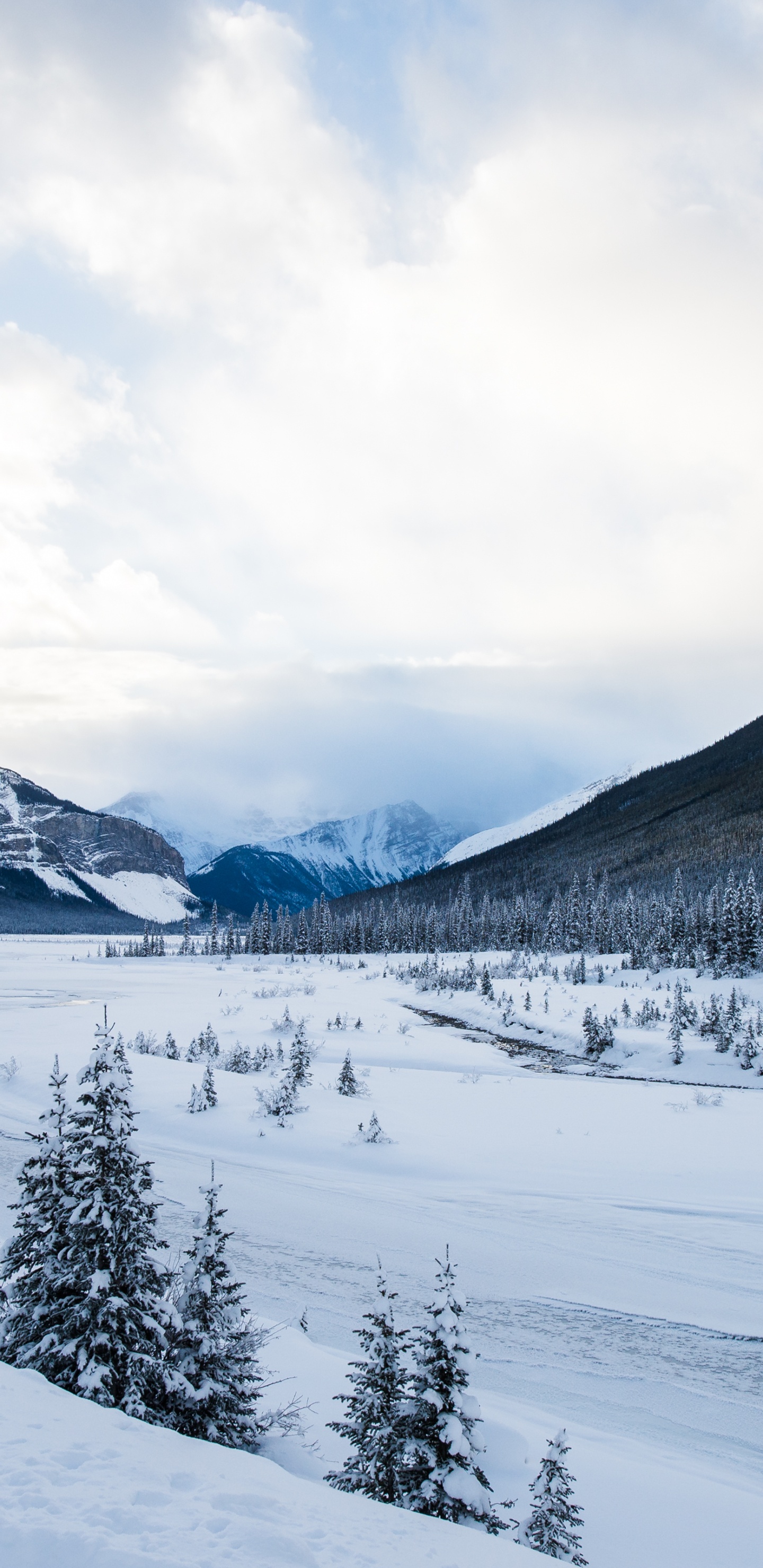 Обои гора, снег, природа, лыжи, живопись в разрешении 1440x2960