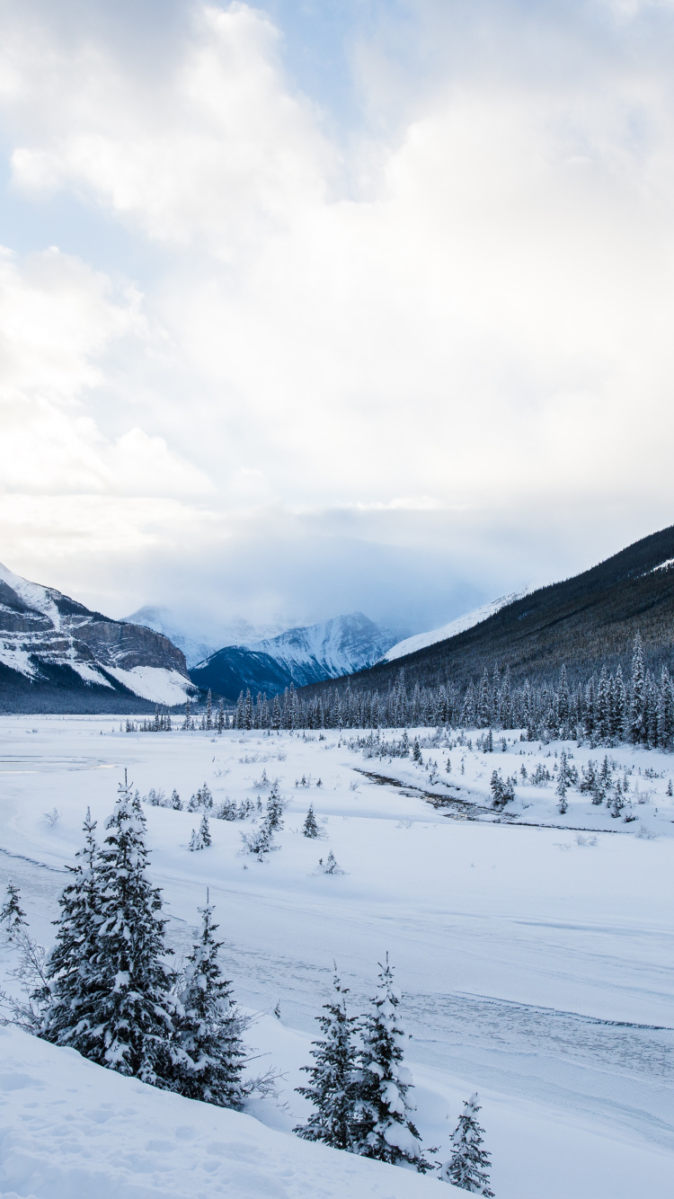 Обои гора, снег, природа, лыжи, живопись в разрешении 750x1334