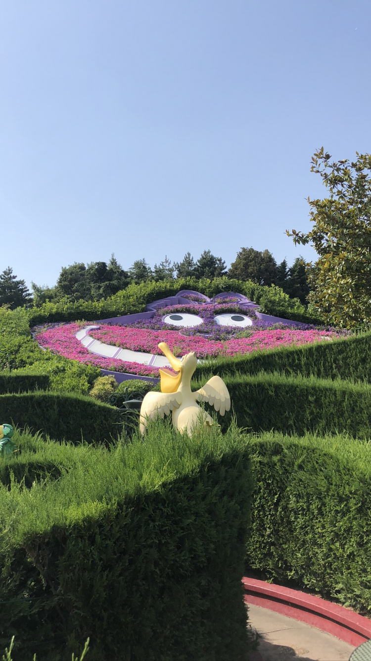 Обои газон, пистолет для пенополиуретана 025ст, растение, сад, ботаники в разрешении 750x1334