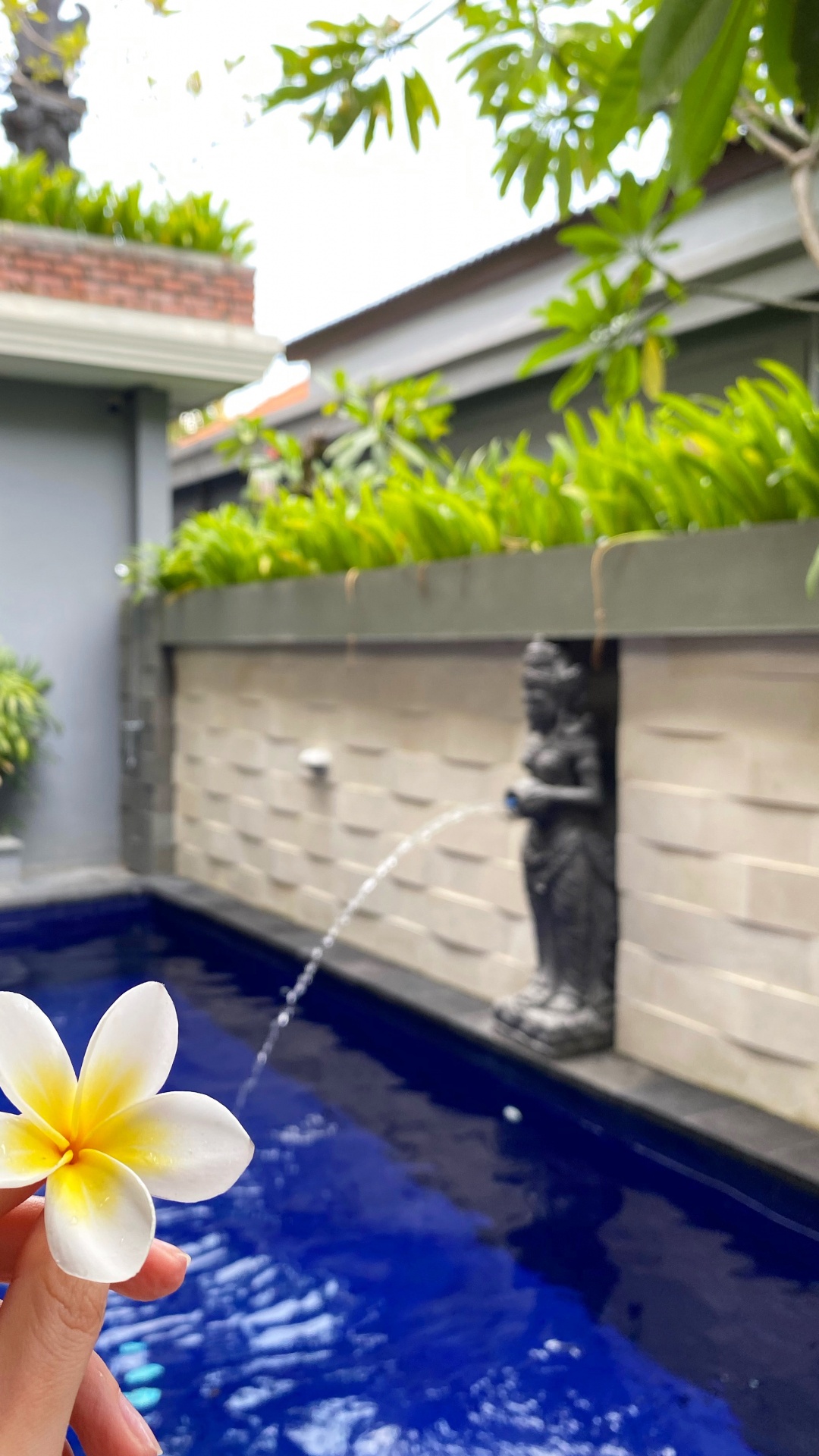 Обои лист, плавательный бассейн, недвижимость, вода, мажорель синий в разрешении 1080x1920