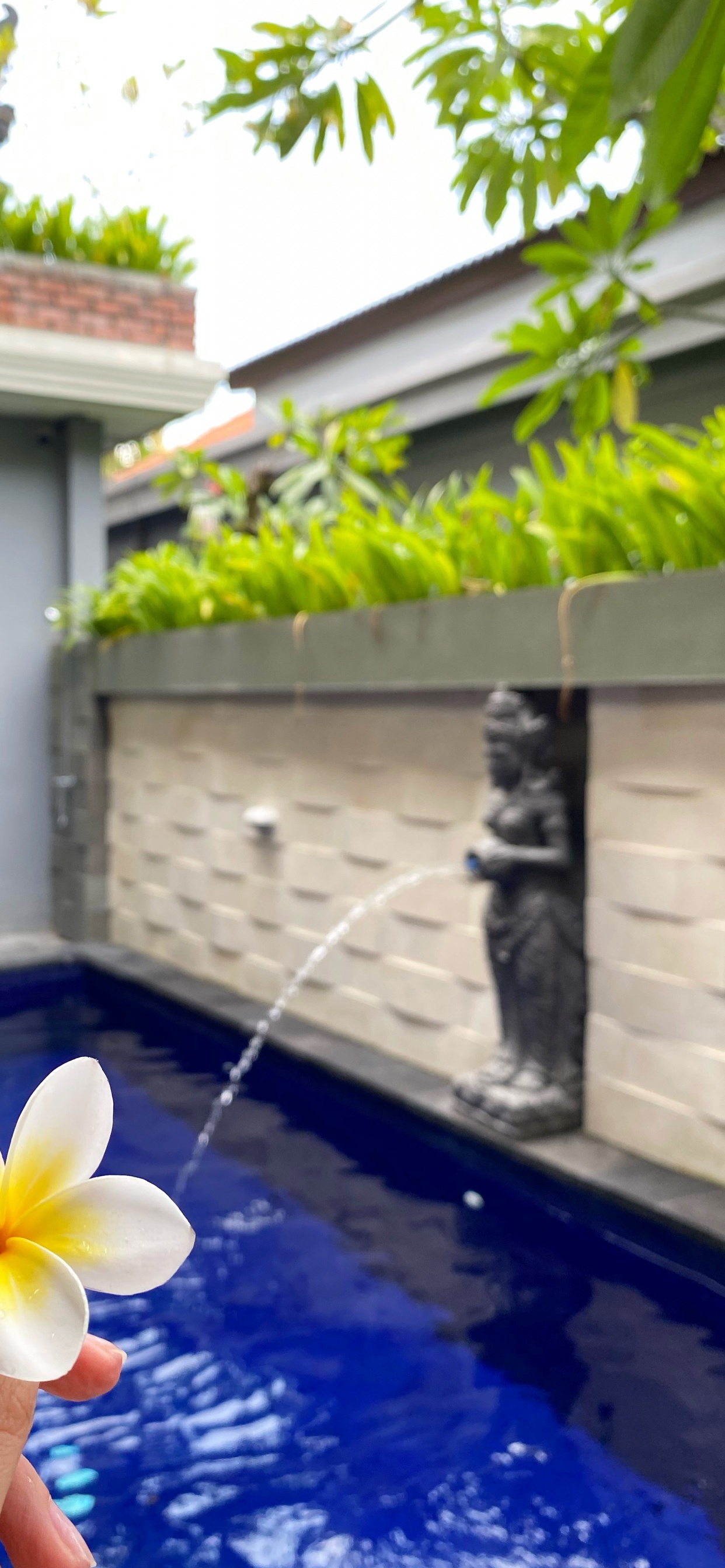 Обои лист, плавательный бассейн, недвижимость, вода, мажорель синий в разрешении 1242x2688