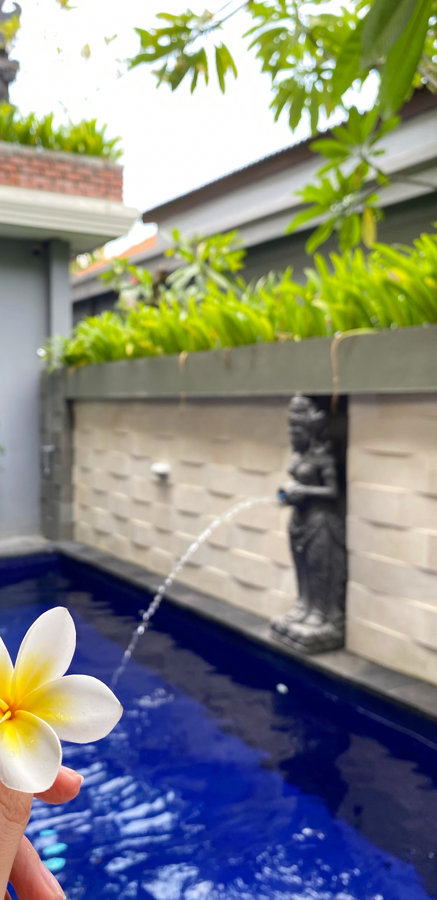 Обои лист, плавательный бассейн, недвижимость, вода, мажорель синий в разрешении 1440x2960