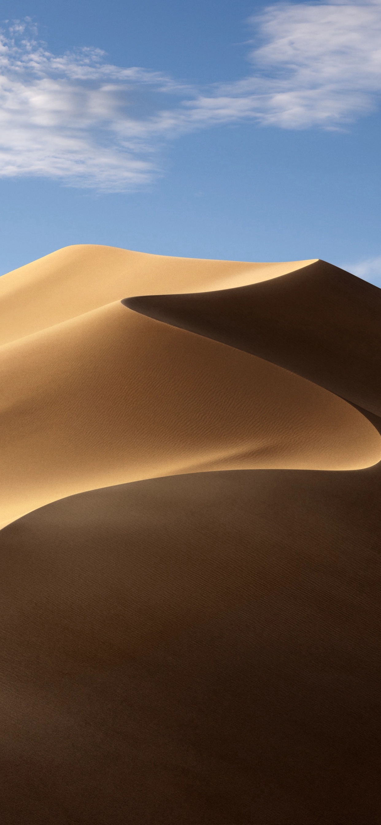 Обои macbook, macbook pro, apple, iMac Pro, macOS Mojave в разрешении 1242x2688