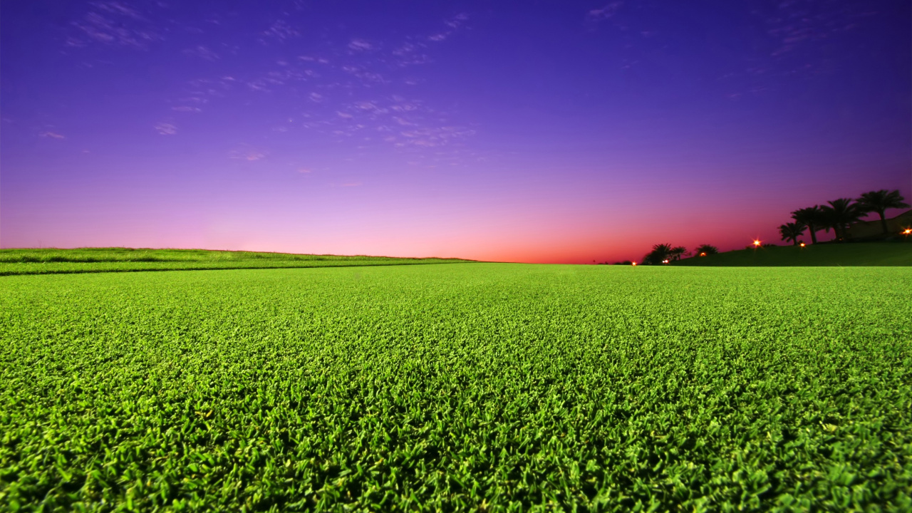 Обои газон, зеленый, поле, сенокосное угодье, сельское хозяйство в разрешении 1280x720
