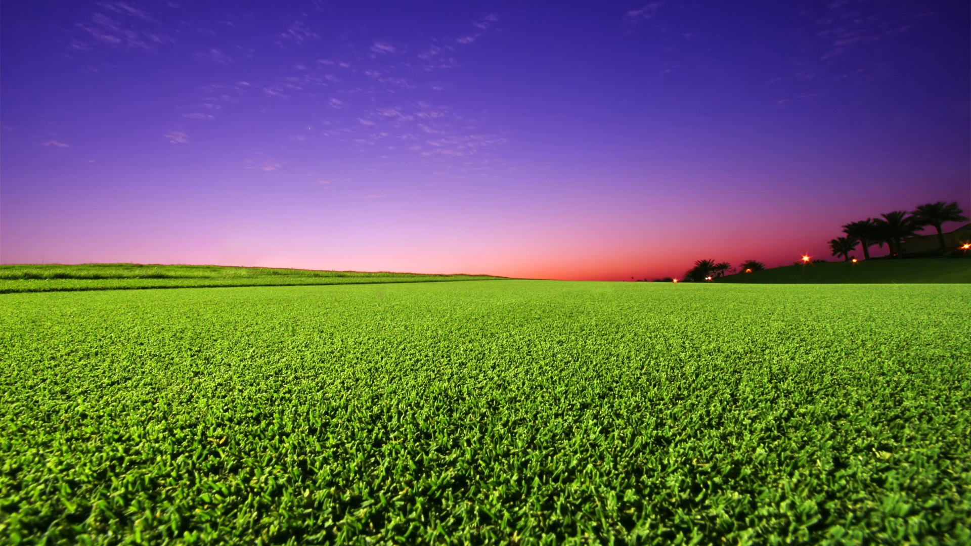 Обои газон, зеленый, поле, сенокосное угодье, сельское хозяйство в разрешении 1920x1080