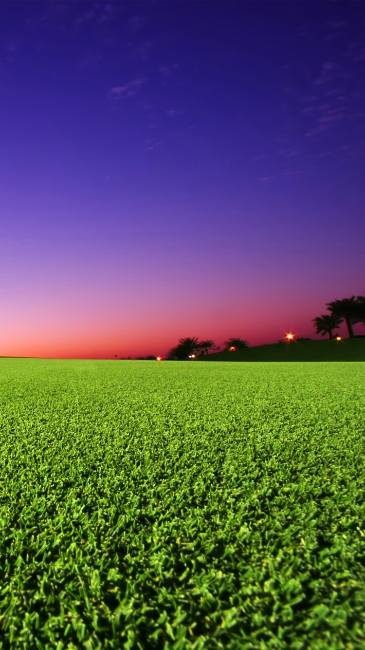 Обои газон, зеленый, поле, сенокосное угодье, сельское хозяйство в разрешении 750x1334