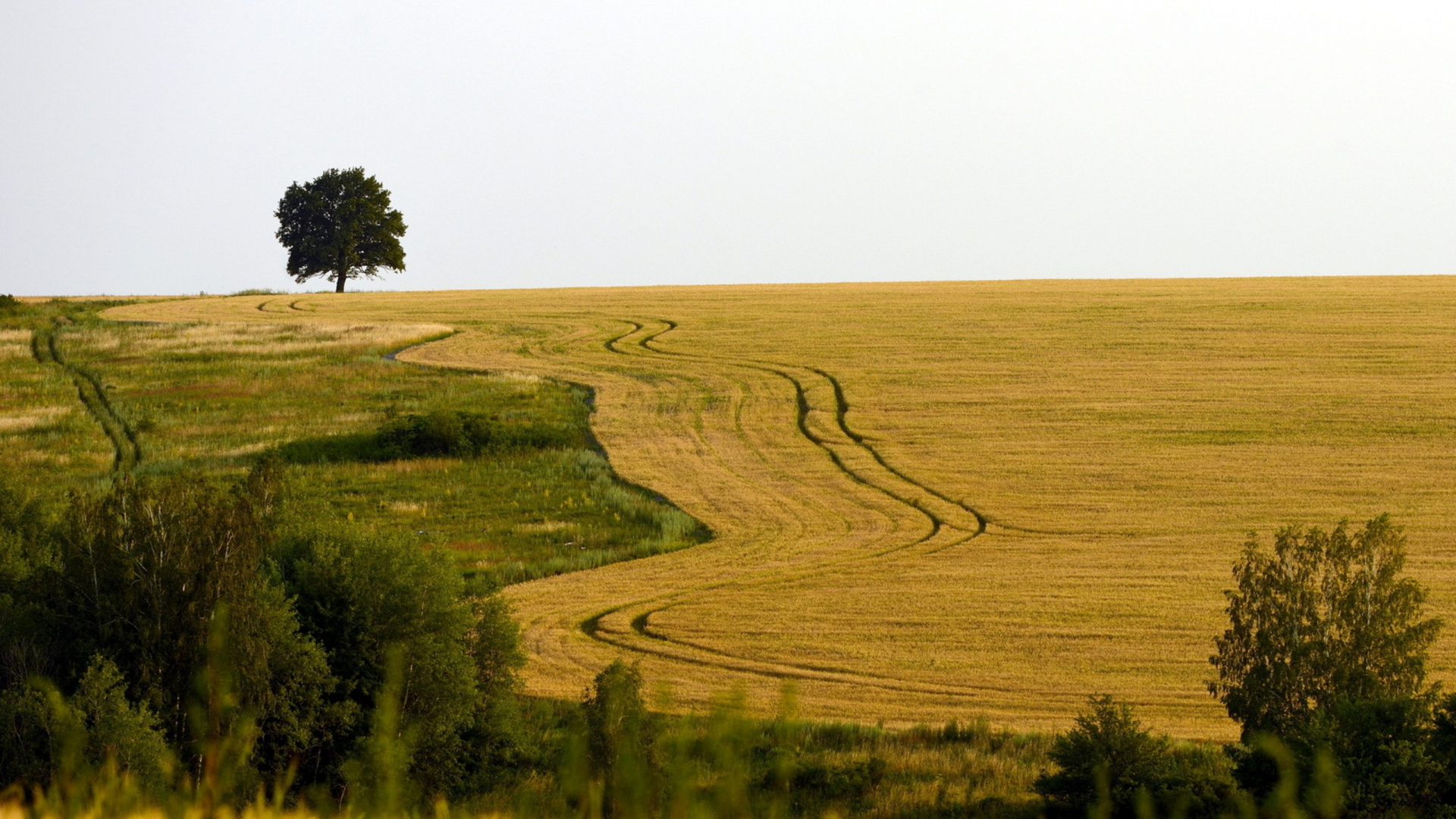 Обои сенокосное угодье, поле, прерия, выгон, пастбище в разрешении 1920x1080